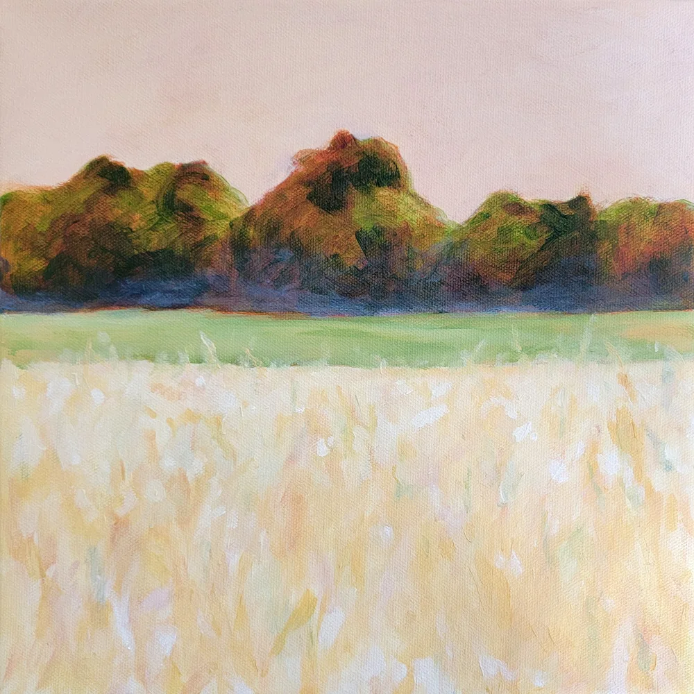 Whitehead, Claire: Sommerfeld