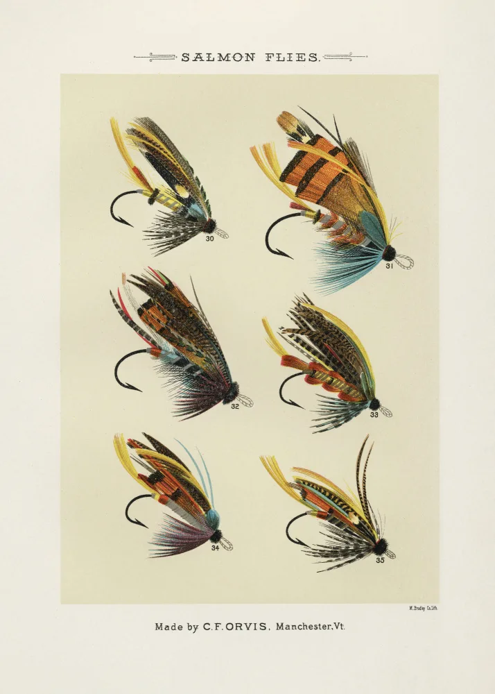 Marbury, Orvis Mary: Saumon Volée 1892