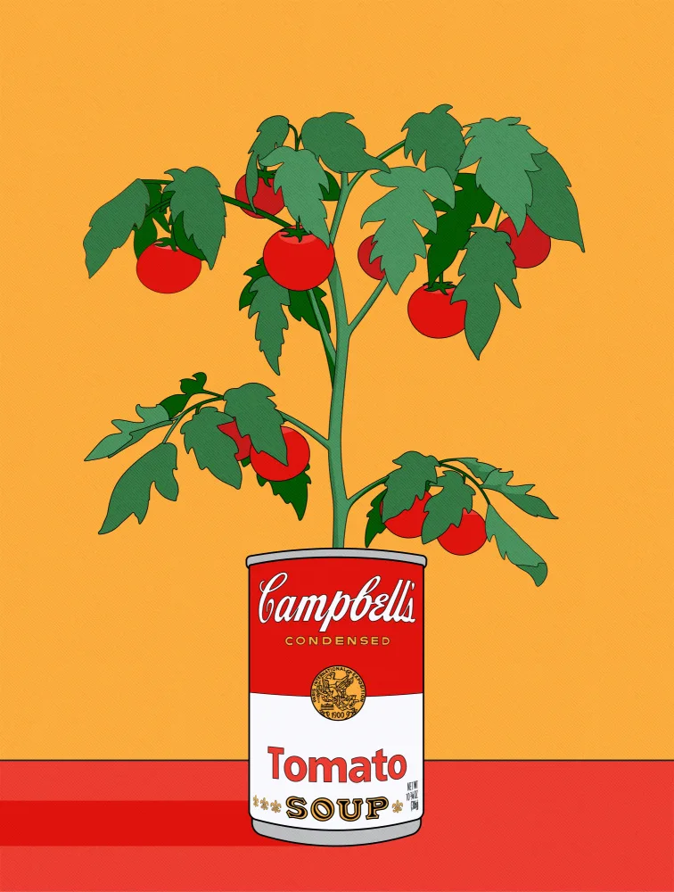 Retrodrome: Illustrazione retrò della pianta di pomodoro della zuppa Campbells
