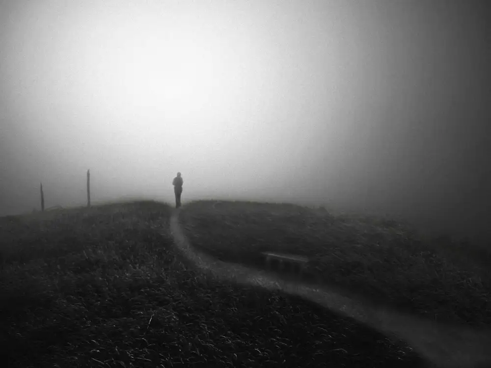 Senechal, David: Chemin des brumes II