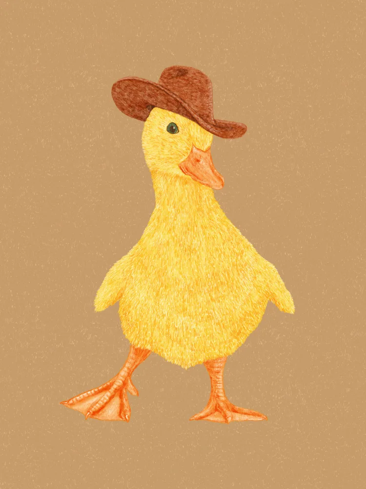 Yeehaw, Can Anyone: Káčátko Daphne Cowgirl