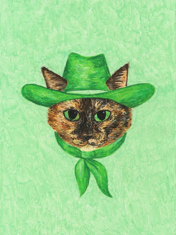 Yeehaw, Can Anyone: Tilly la cow-girl Tortie Cat