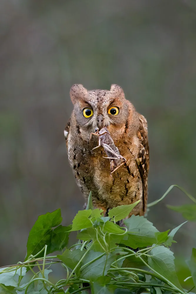 Lu, Bill: Dinner is ready