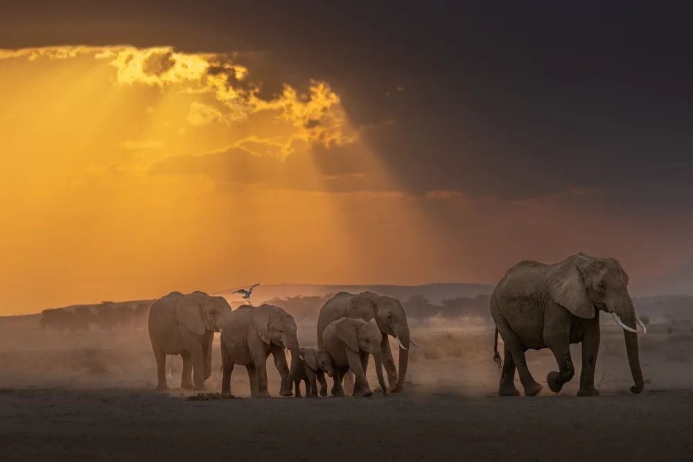 Khataw, Ali: Des rayons