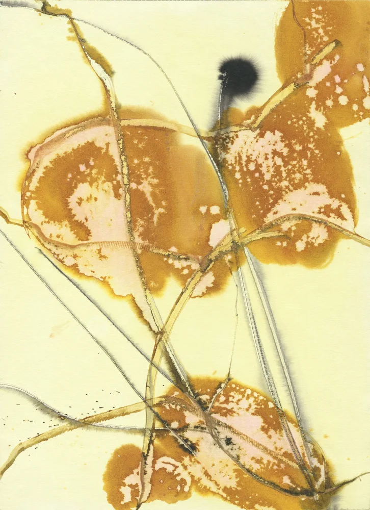 Belaubre, Frederic: The Floral Abstract 2