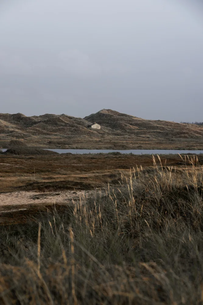 Böhmer, Mareike: House in The Dunes