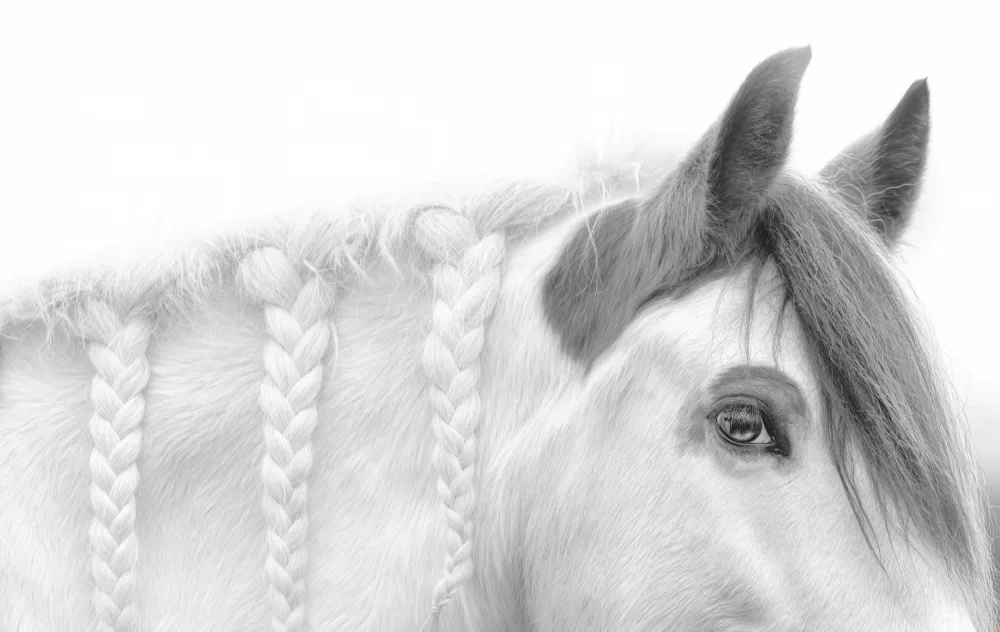 Wang, Catherine: White Braids