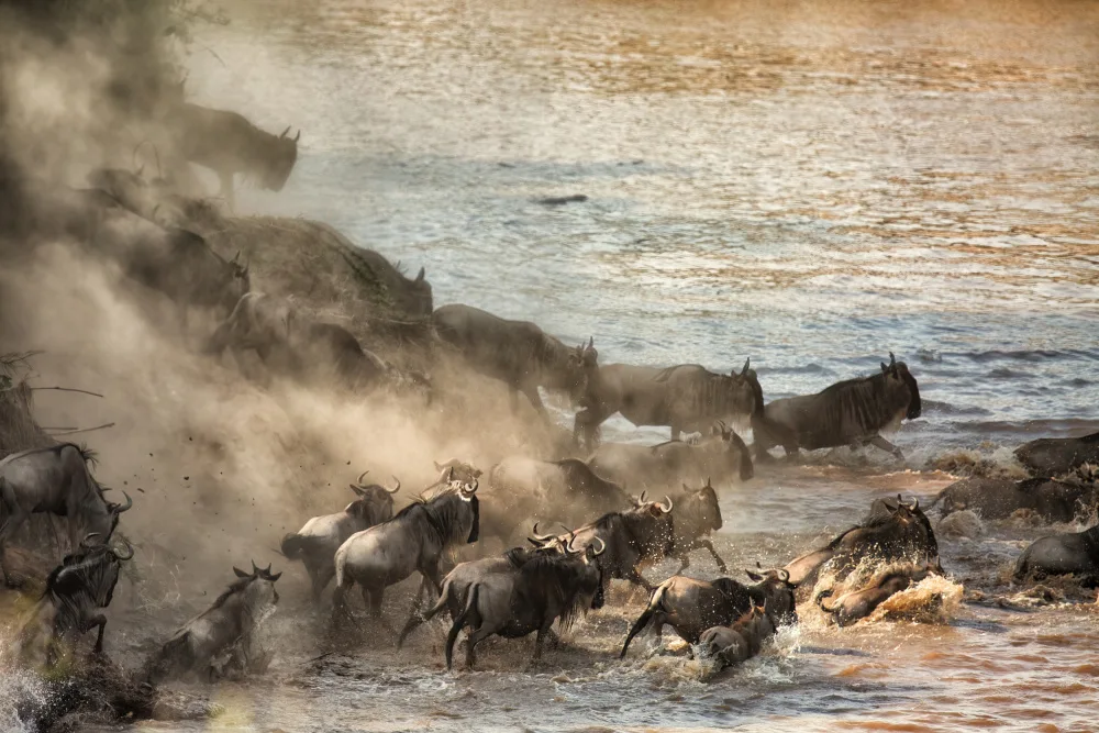Bashlian, Raffi: The Brave Crossing