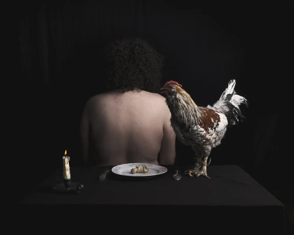Sedaghi, Hooman: Sin título