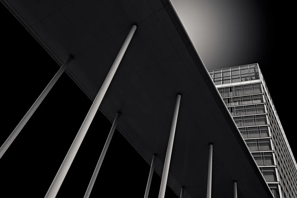 Weber, Roland: El Parlamento Europeo