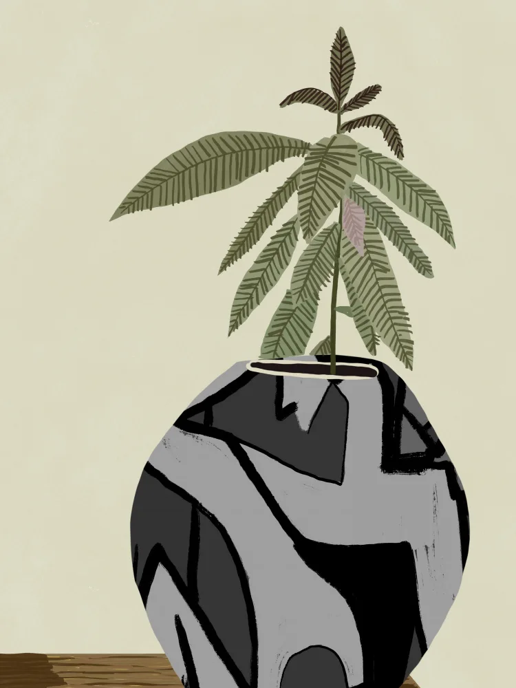 Dean, Little: Fiddle Fig indoor plant