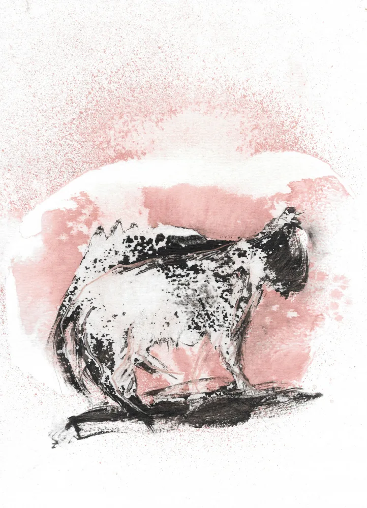 Belaubre, Frederic: The Cat