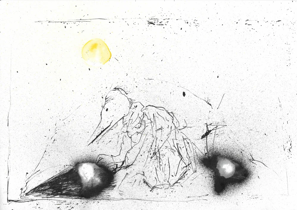 Belaubre, Frederic: The Surrealist Bird