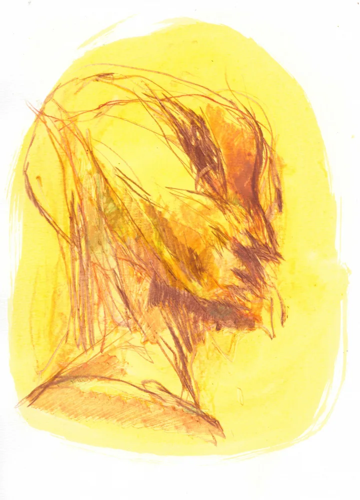 Belaubre, Frederic: The Portrait 1
