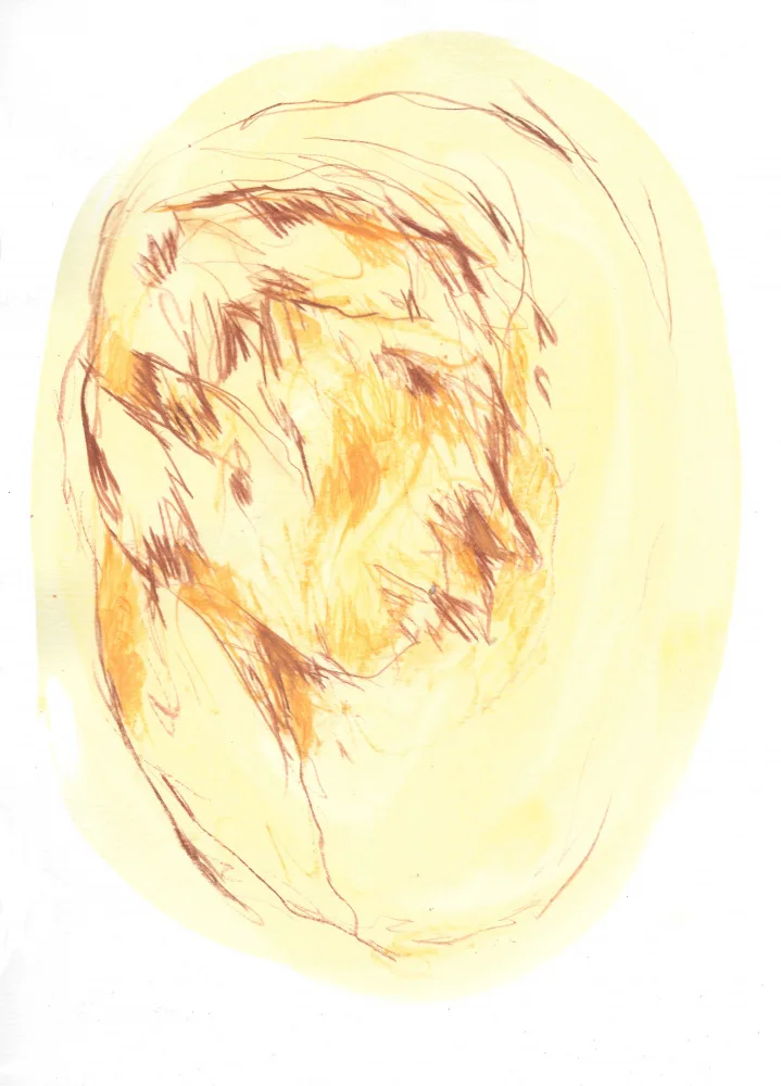 Belaubre, Frederic: The Portrait 2