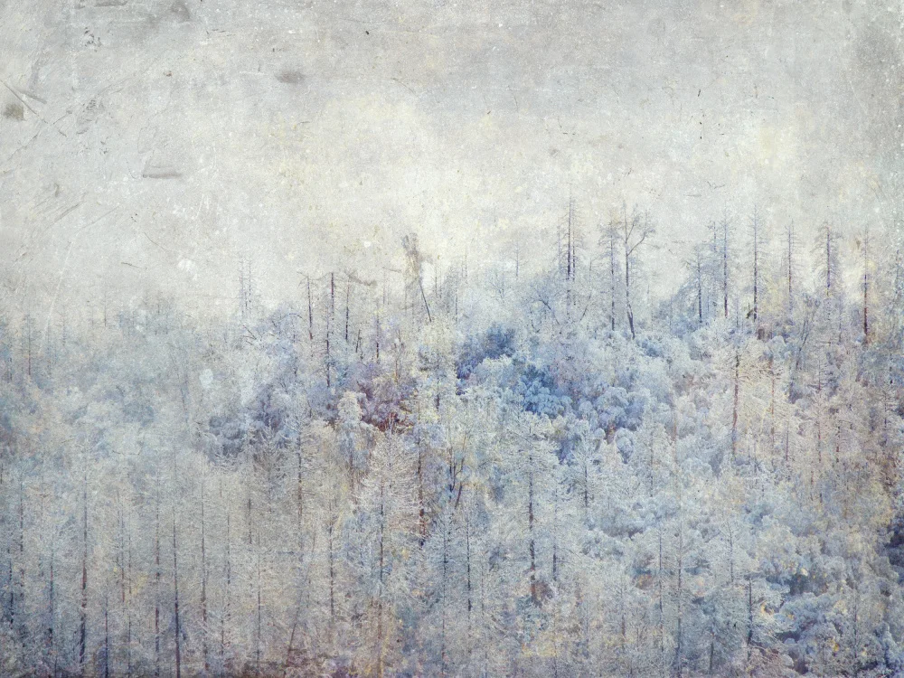 Bardot, Gemma: High Sierra III
