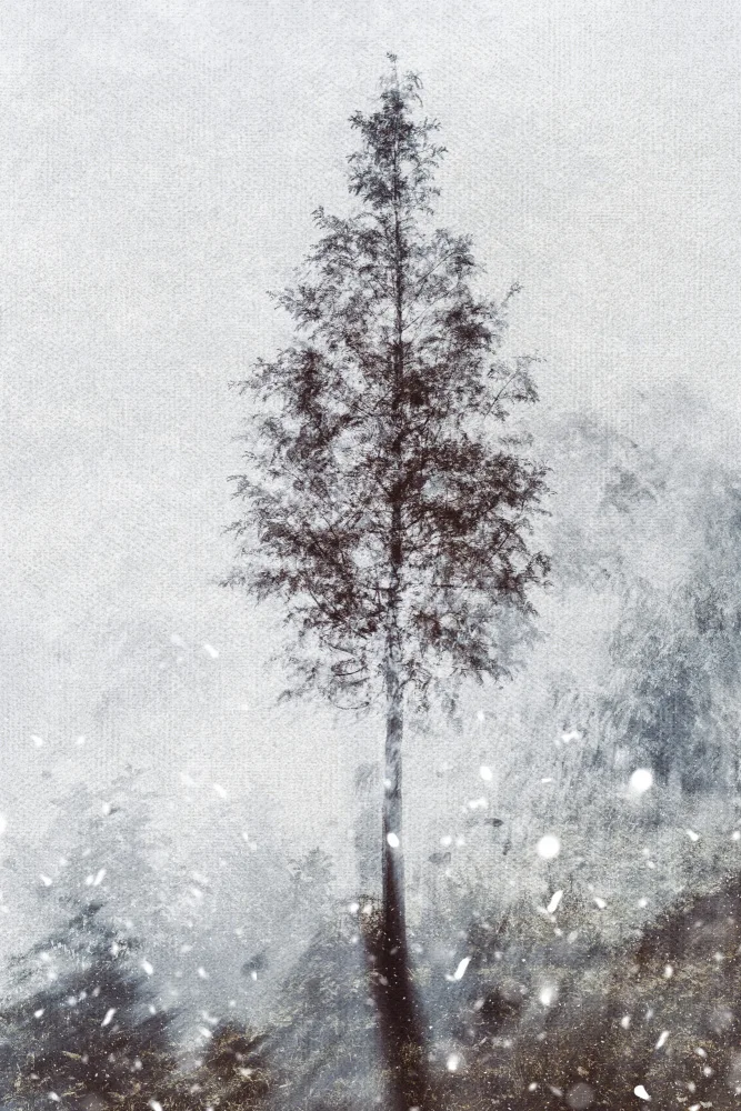 Imaginative: Gewebte Naturträume