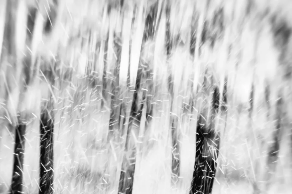 Imaginative: Es schneit im Wald