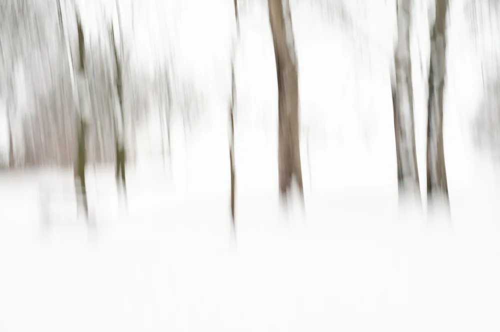 Imaginative: Winter