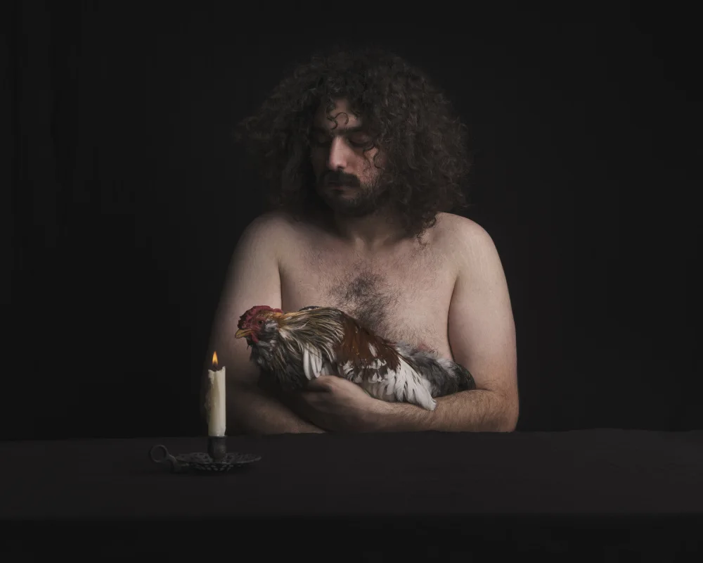 Sedaghi, Hooman: Sin título