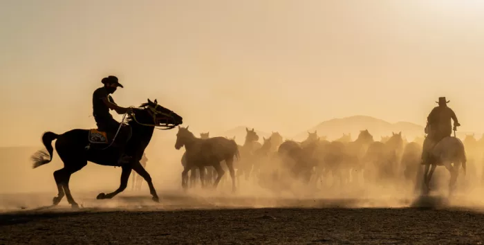 Spector, Corinne: Caballos salvajes en el este de Turquía