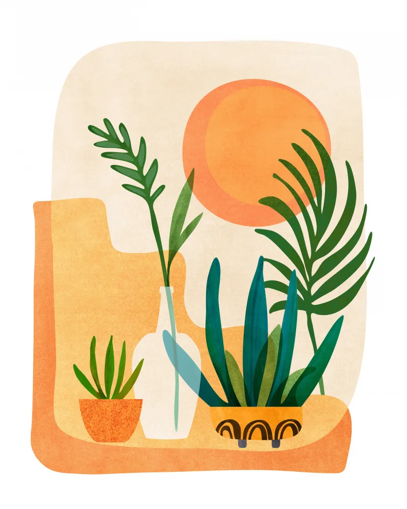 Gallagher, Kristian: Jardín del Desierto