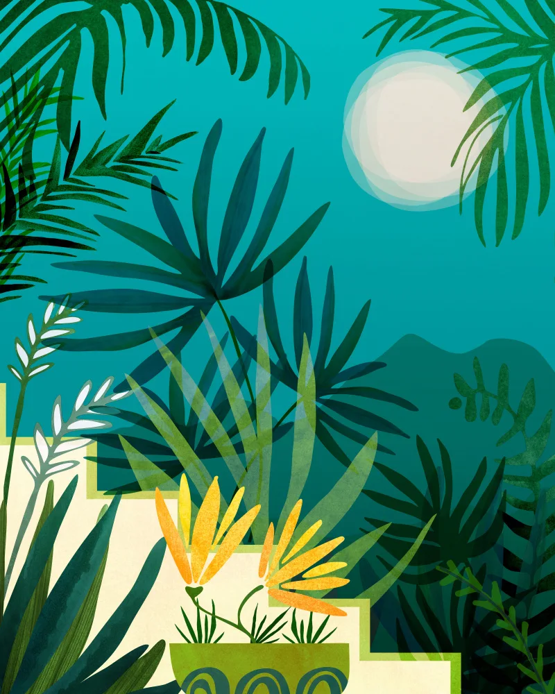 Gallagher, Kristian: Rainforest With Moonlight