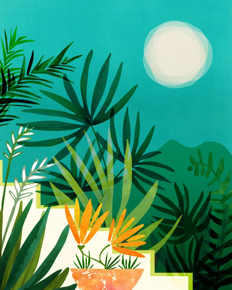 Gallagher, Kristian: Tropical Moonlight Garden 1