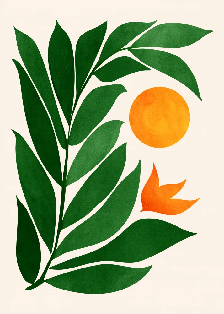 Gallagher, Kristian: Tropical Forest Sunset