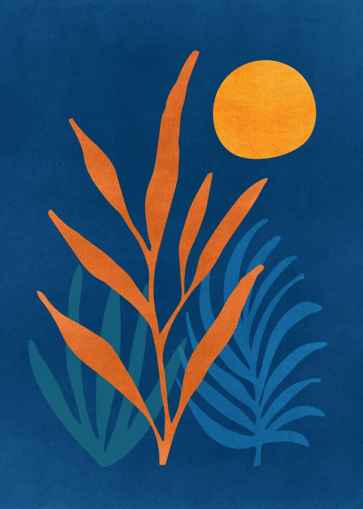 Gallagher, Kristian: Super Moon Nightscape.png