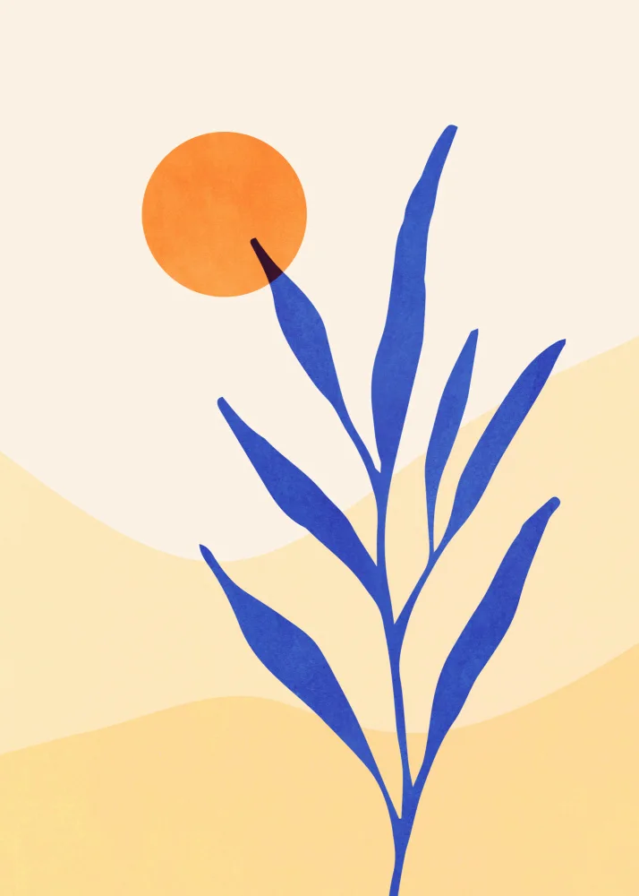 Gallagher, Kristian: Wüstenflora