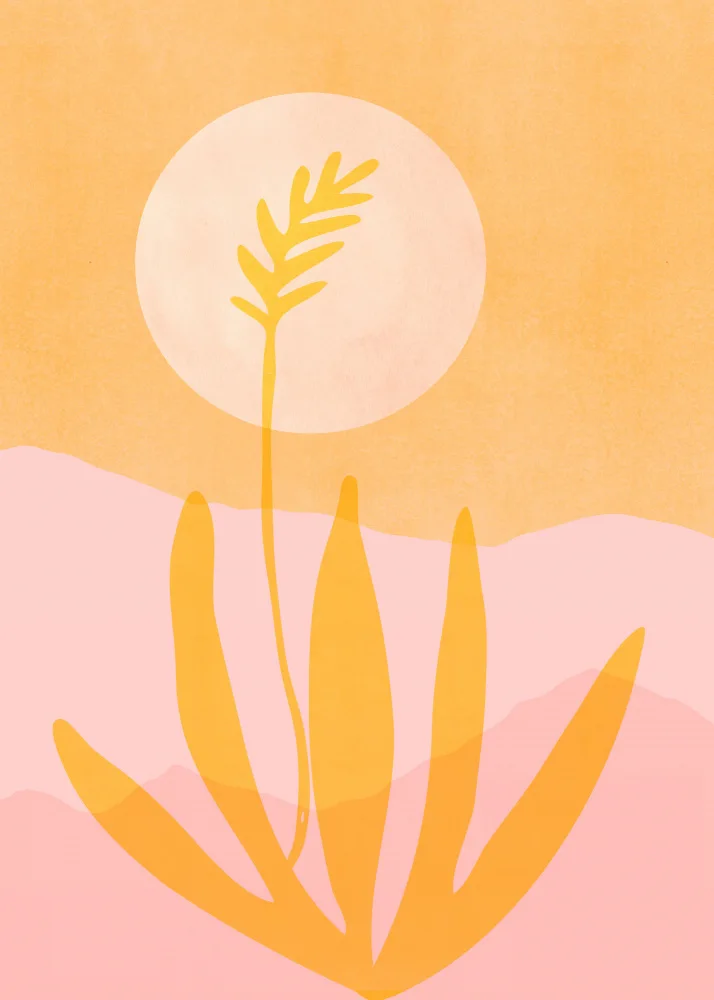 Gallagher, Kristian: Golden Agave Sunset