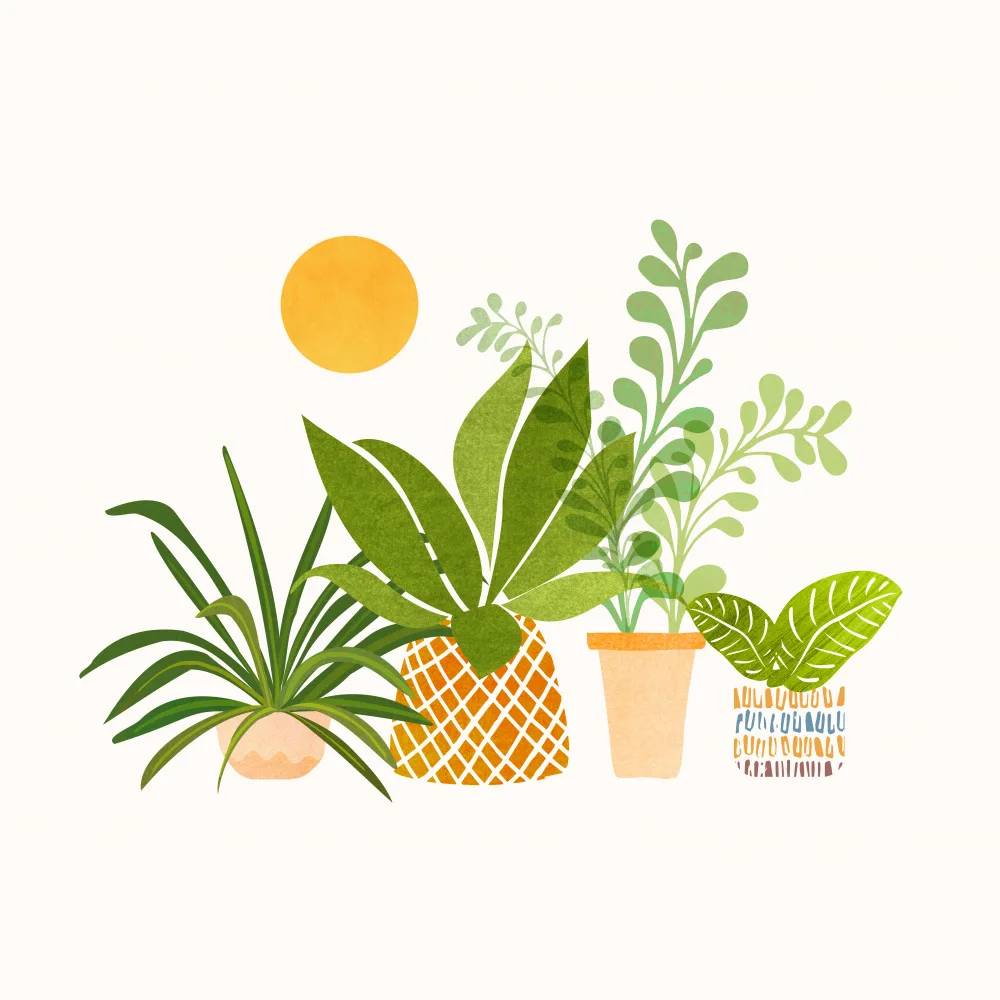 Gallagher, Kristian: Plaza Happy Tropicals