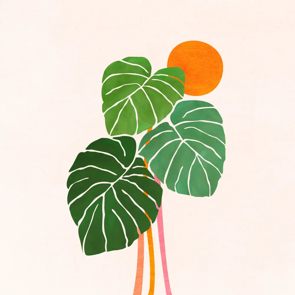 Gallagher, Kristian: Monstera and Sunshine 1 Sq