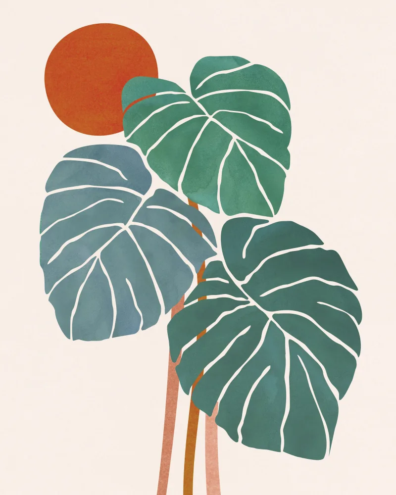 Gallagher, Kristian: Monstera and Sunshine