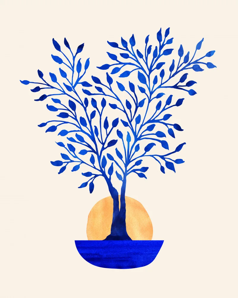 Gallagher, Kristian: Amanecer Ficus índigo