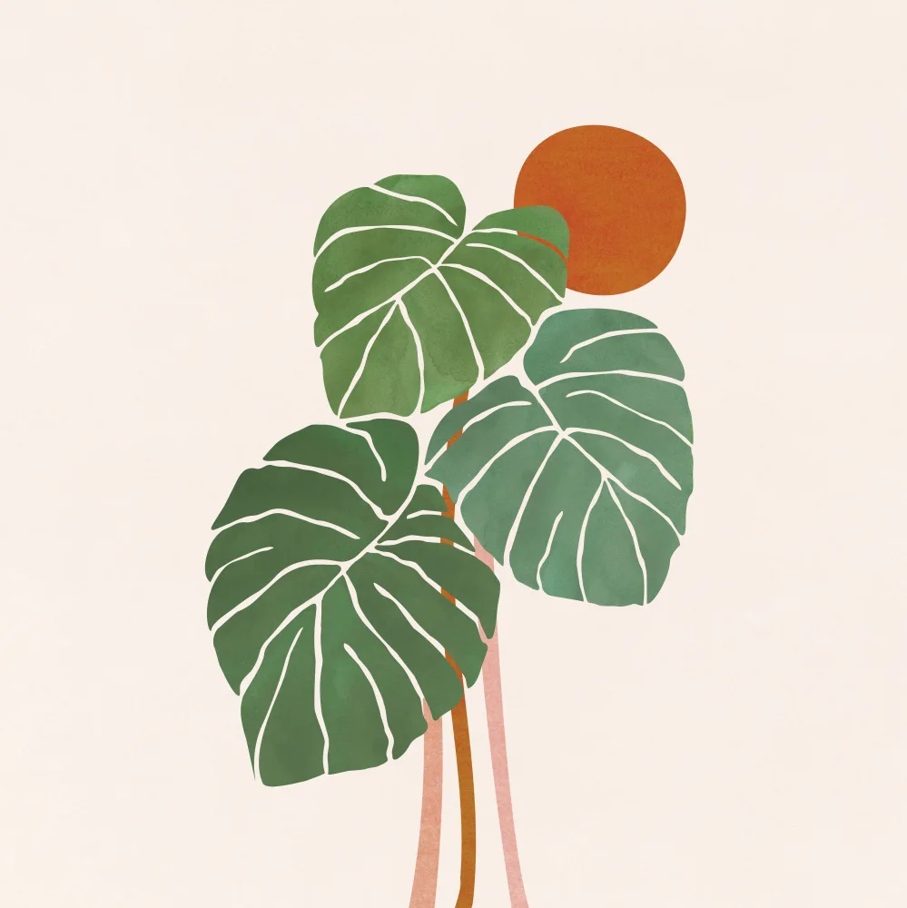 Gallagher, Kristian: Monstera and Sunshine 2 Sq