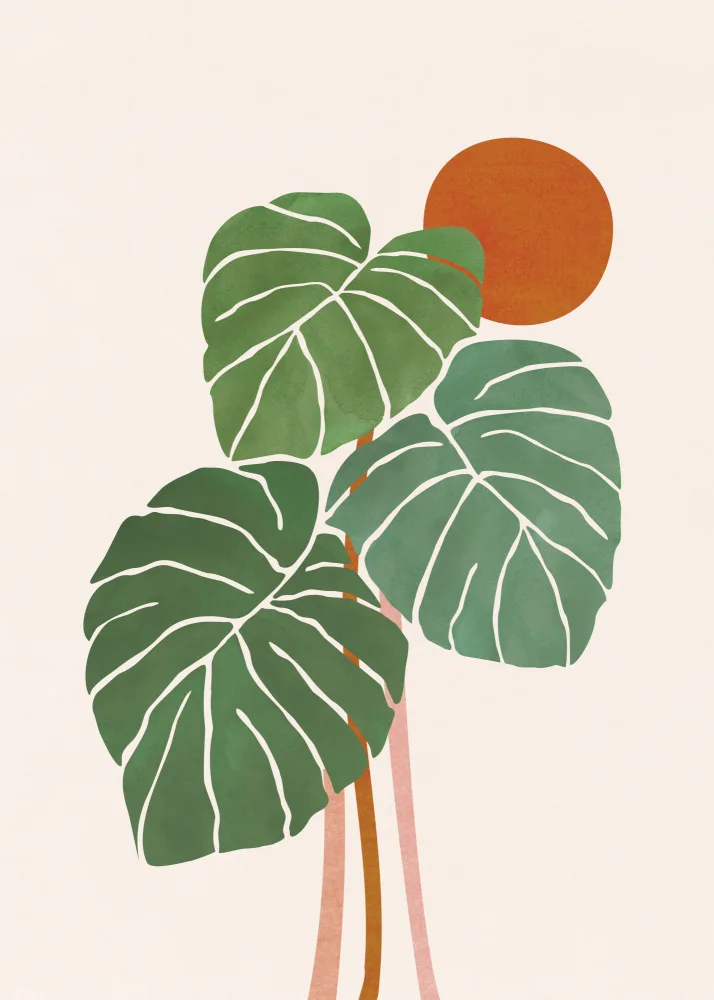 Gallagher, Kristian: Monstera and Sunshine 2