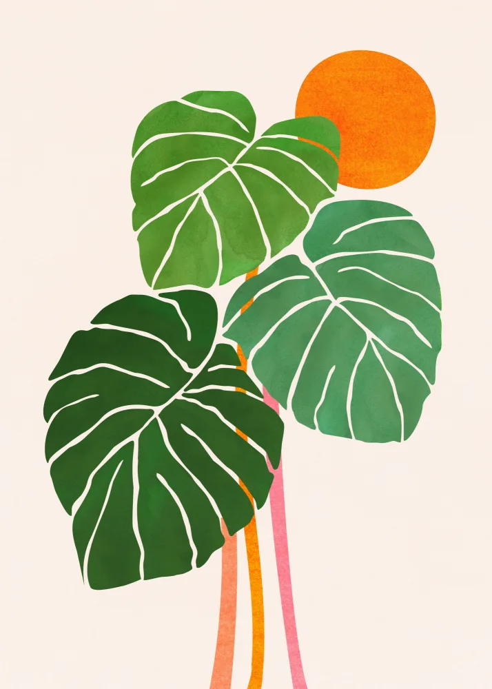 Gallagher, Kristian: Monstera and Sunshine 1.png