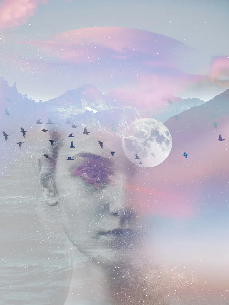 Bardot, Gemma: Dream Catcher I