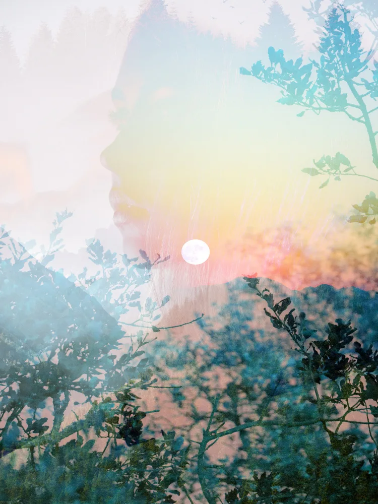 Bardot, Gemma: Dream Catcher II
