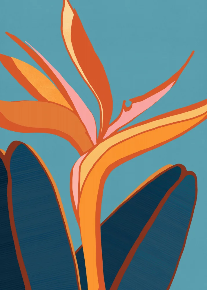 Gallagher, Kristian: Oiseau du Paradis 5x7