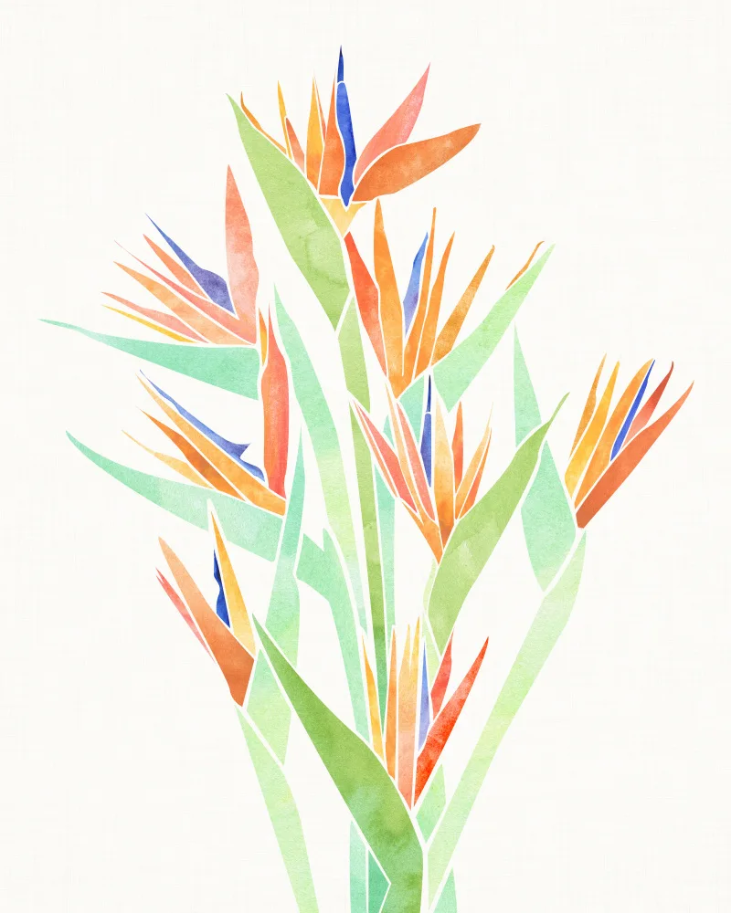 Gallagher, Kristian: Birds of Paradise 2