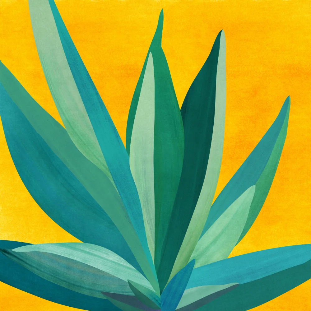 Gallagher, Kristian: Colorful Agave 6