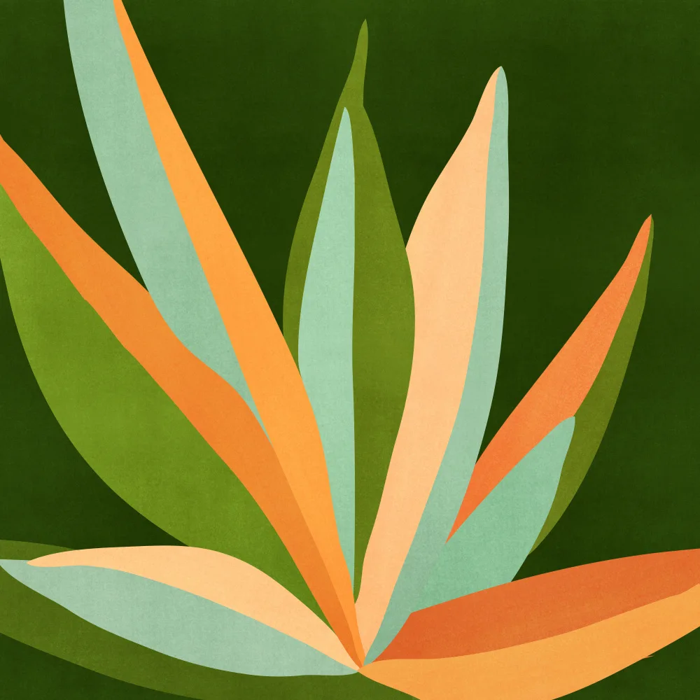Gallagher, Kristian: Colorful Agave 3