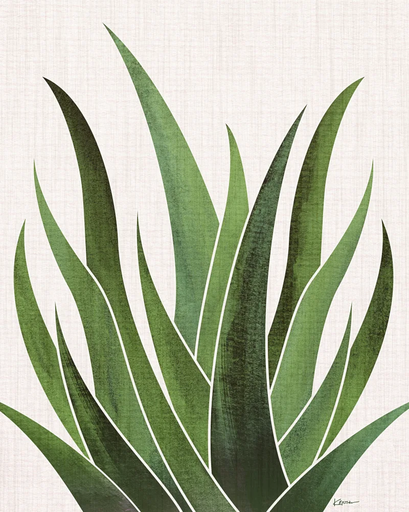 Gallagher, Kristian: Desert Agave 3