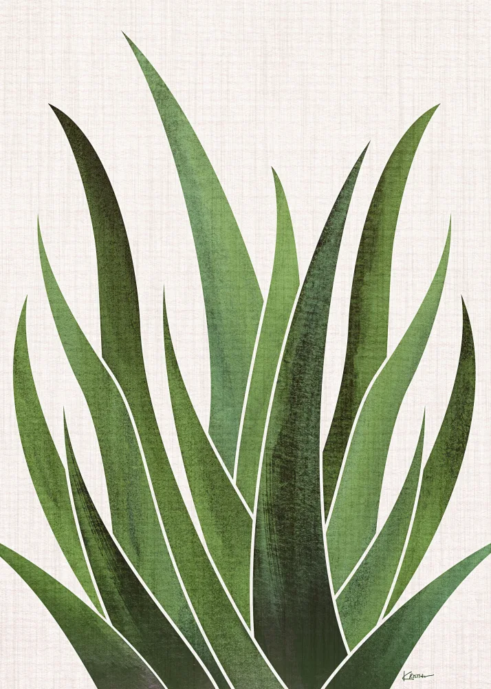Gallagher, Kristian: Wüstenagave 5