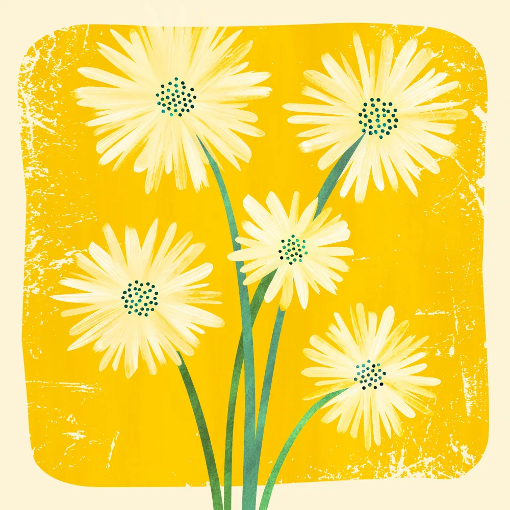 Gallagher, Kristian: Bouquet de marguerites 2