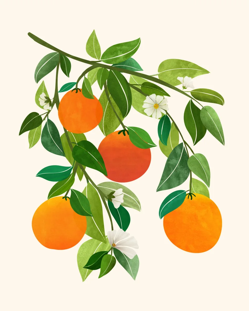 Gallagher, Kristian: Oranges and Blossoms Ii
