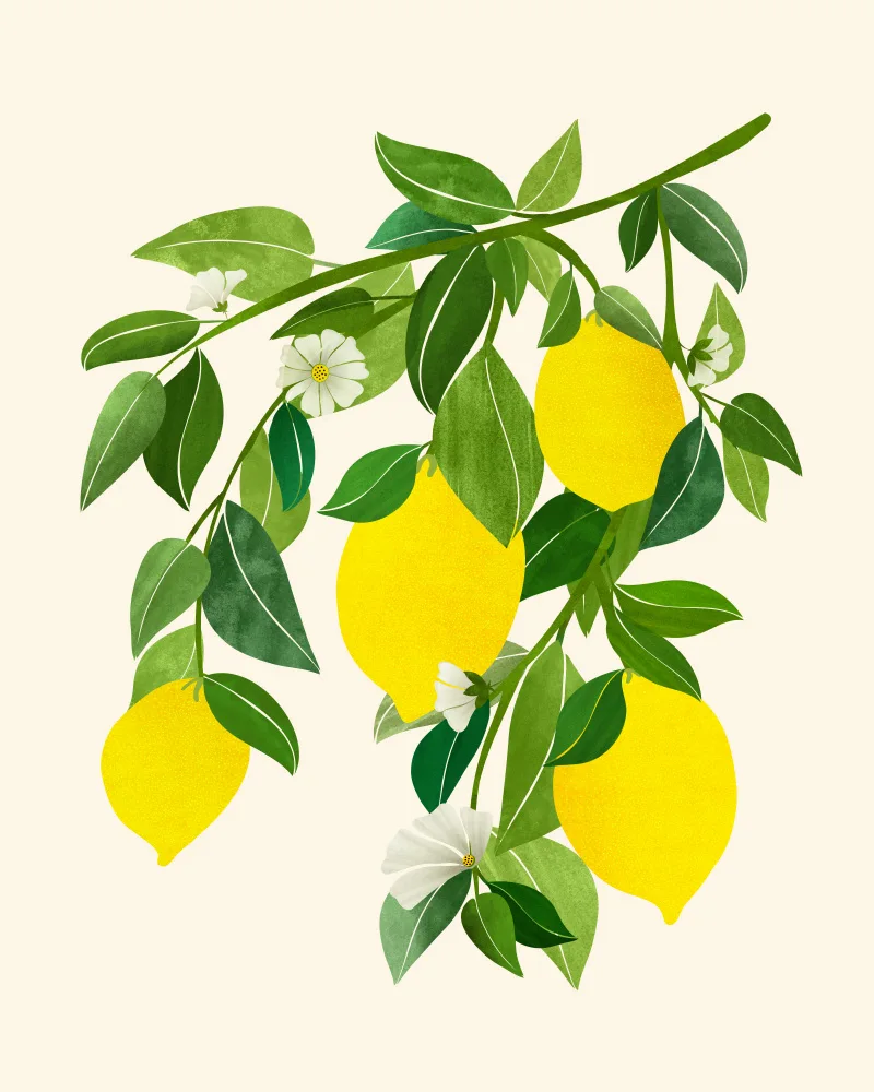 Gallagher, Kristian: Sunny Lemons 4x5